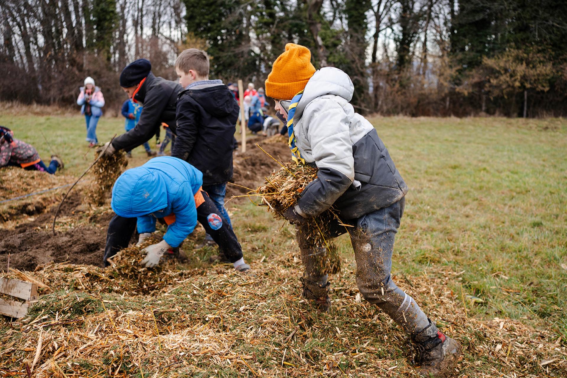 Chantier collectif de replantation de haies bocagères, Vals du Dauphiné