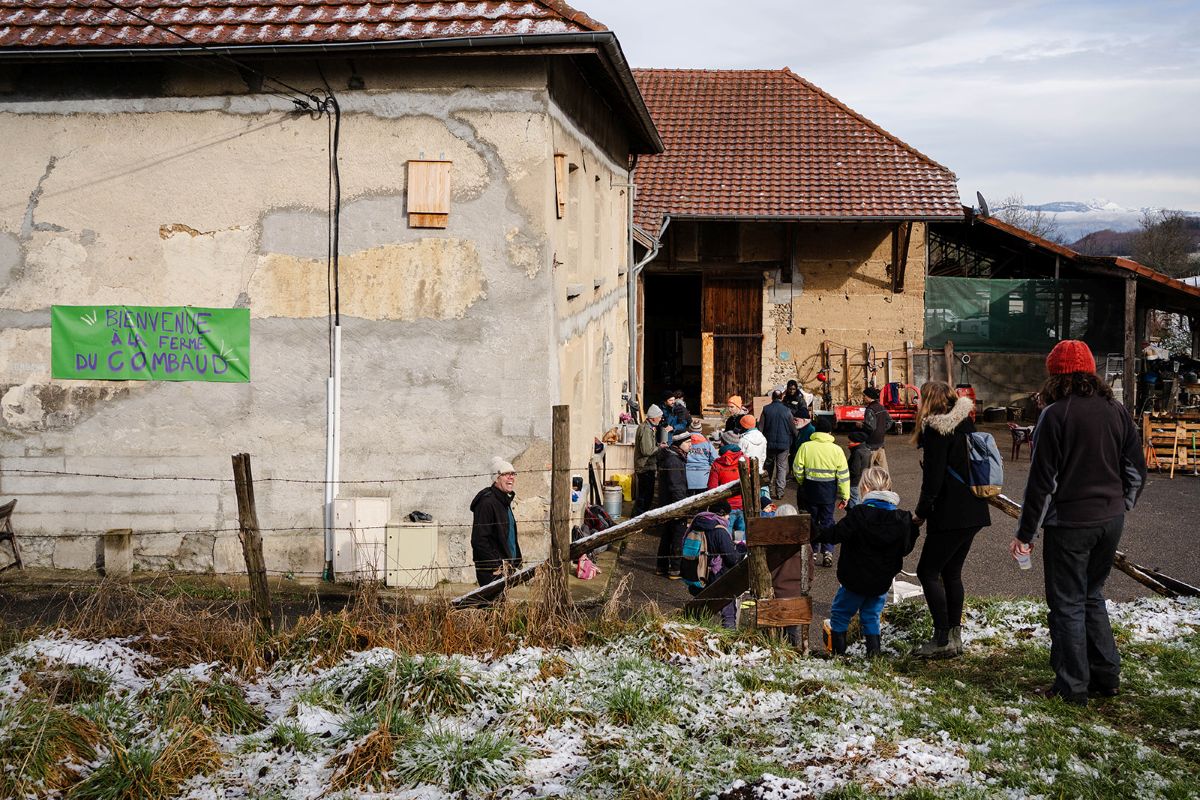 Haie champêtre alliée de l'agriculture en Isère — protection cultures et bétail